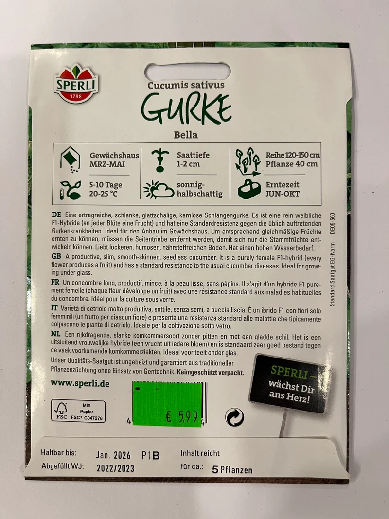 Salatgurke Bella F1-Hybride