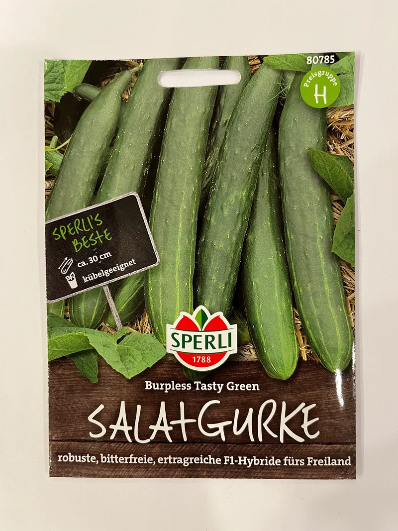 Salatgurke Burpless Tasty F1-Hybride