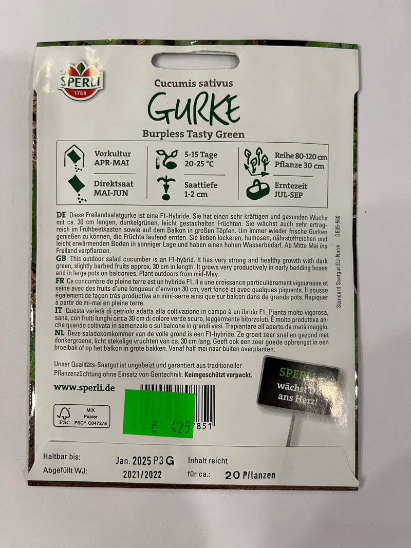 Salatgurke Burpless Tasty F1-Hybride