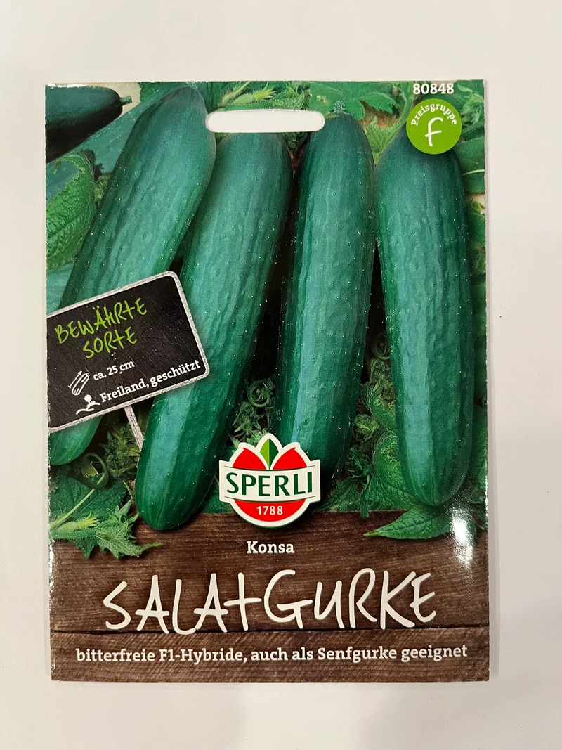 Salatgurke Konsa F1-Hybride