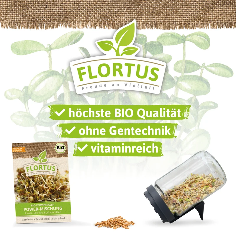 Keimsprossen Power-Mischung (Linsen, Senf und Bockshornklee) | BIO Keimsprossen von FLORTUS