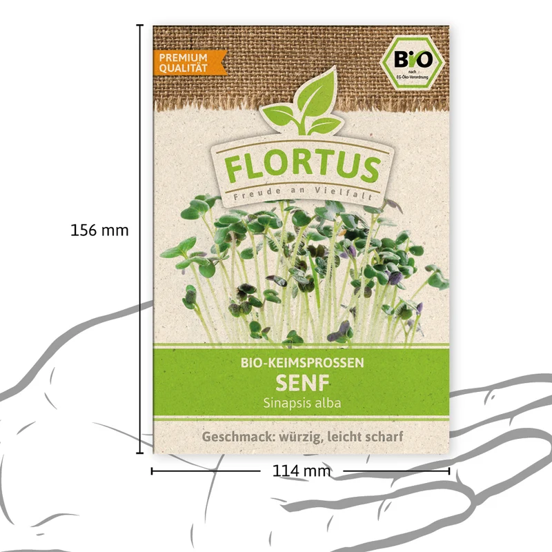 Keimsprossen Senf | BIO Keimsprossen von FLORTUS