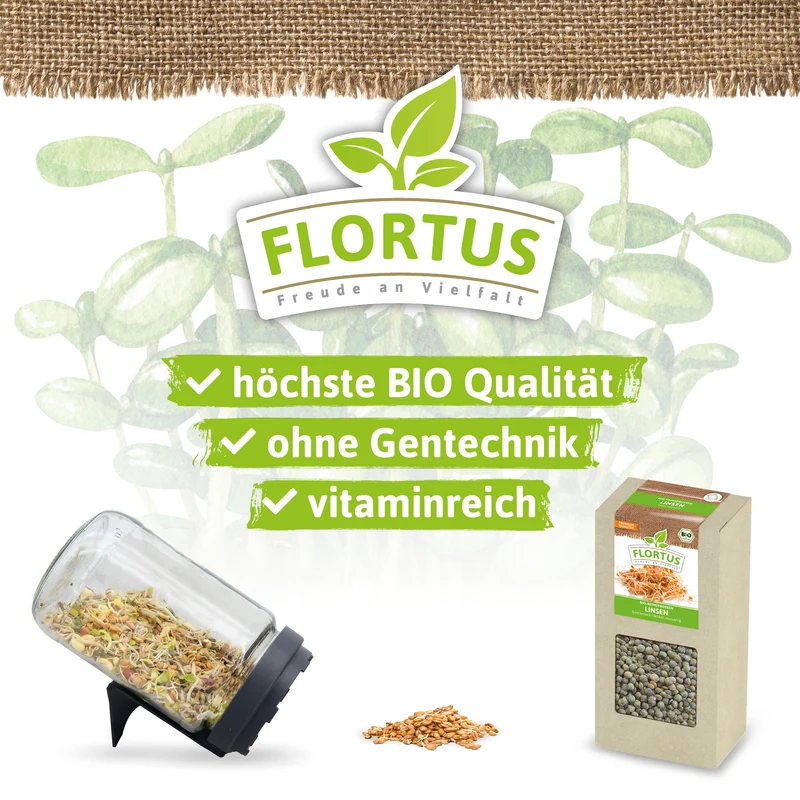 Keimsprossen Linse | BIO Keimsprossen von FLORTUS