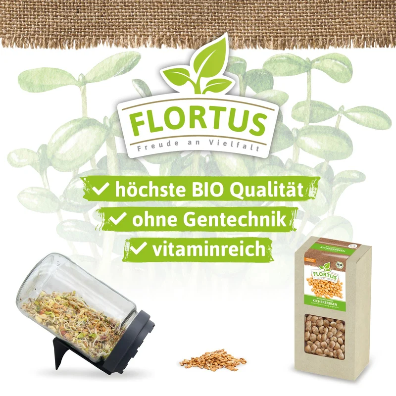 Keimsprossen Kichererbse | BIO Keimsprossen von FLORTUS