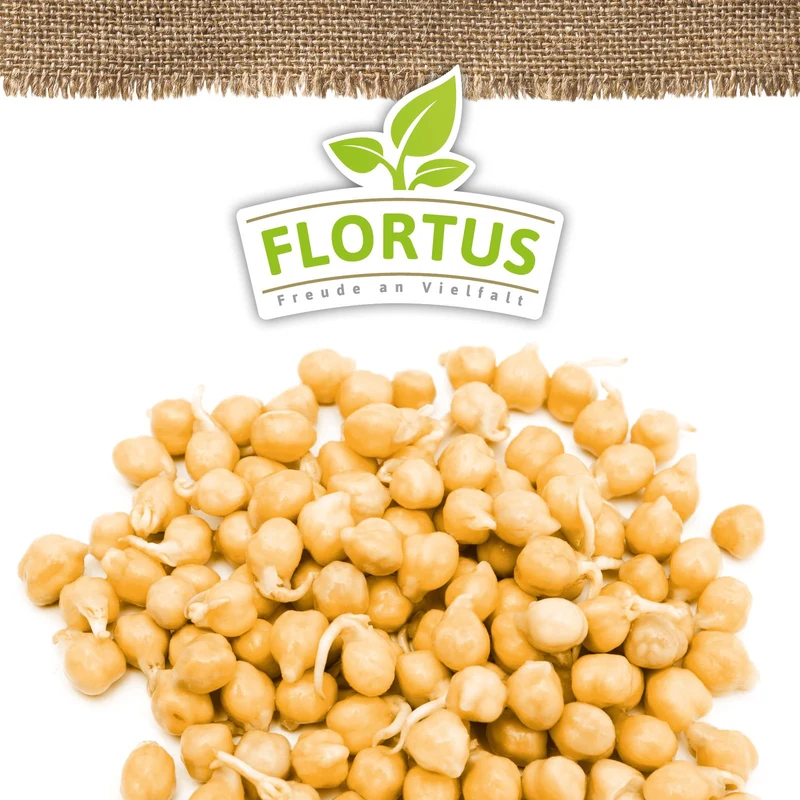 Keimsprossen Kichererbse | BIO Keimsprossen von FLORTUS
