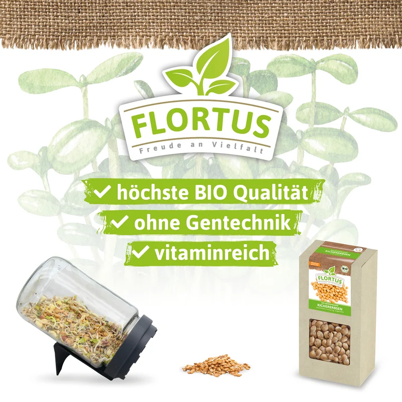 Keimsprossen Kichererbse | BIO Keimsprossen von FLORTUS