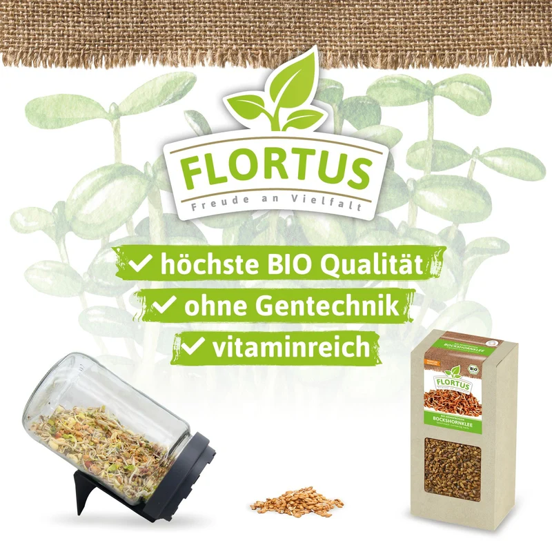 Keimsprossen Bockshornklee | BIO Keimsprossen von FLORTUS