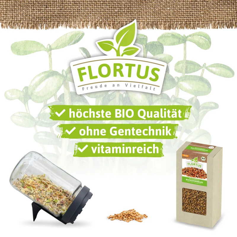 Keimsprossen Bockshornklee | BIO Keimsprossen von FLORTUS