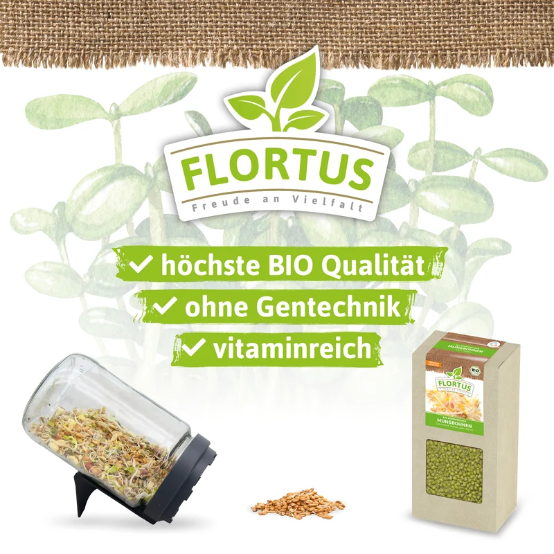 Keimsprossen Mungbohnen | BIO Keimsprossen von FLORTUS