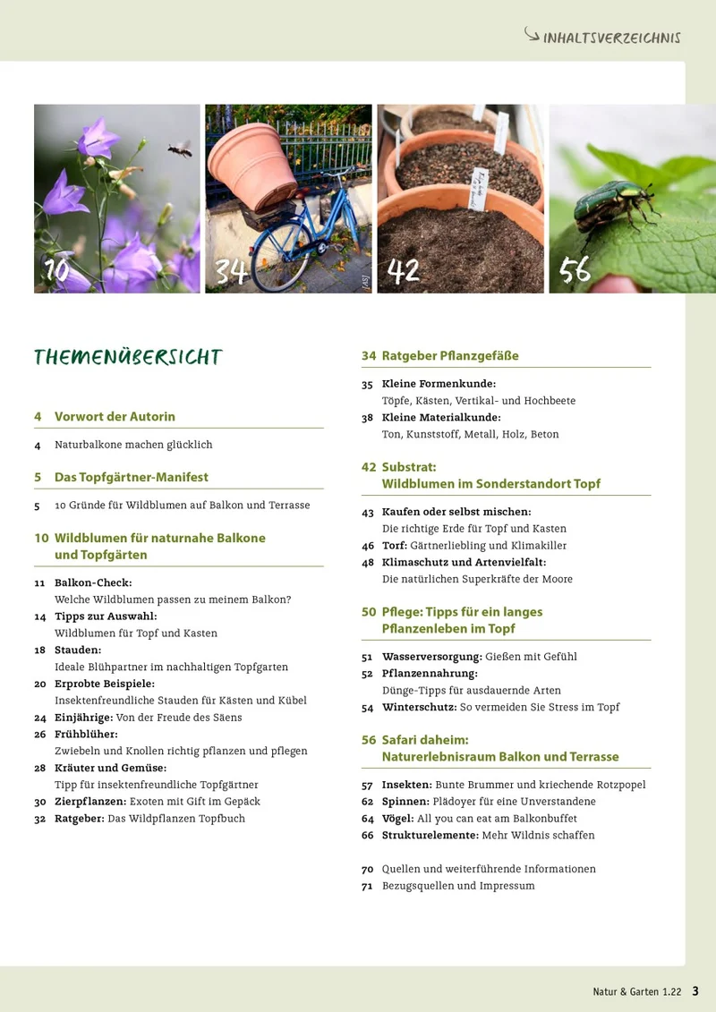 Naturnahe Balkone und Topfgärten