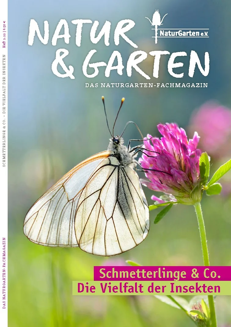 Schmetterlinge & Co. - Die Vielfalt der Insekten