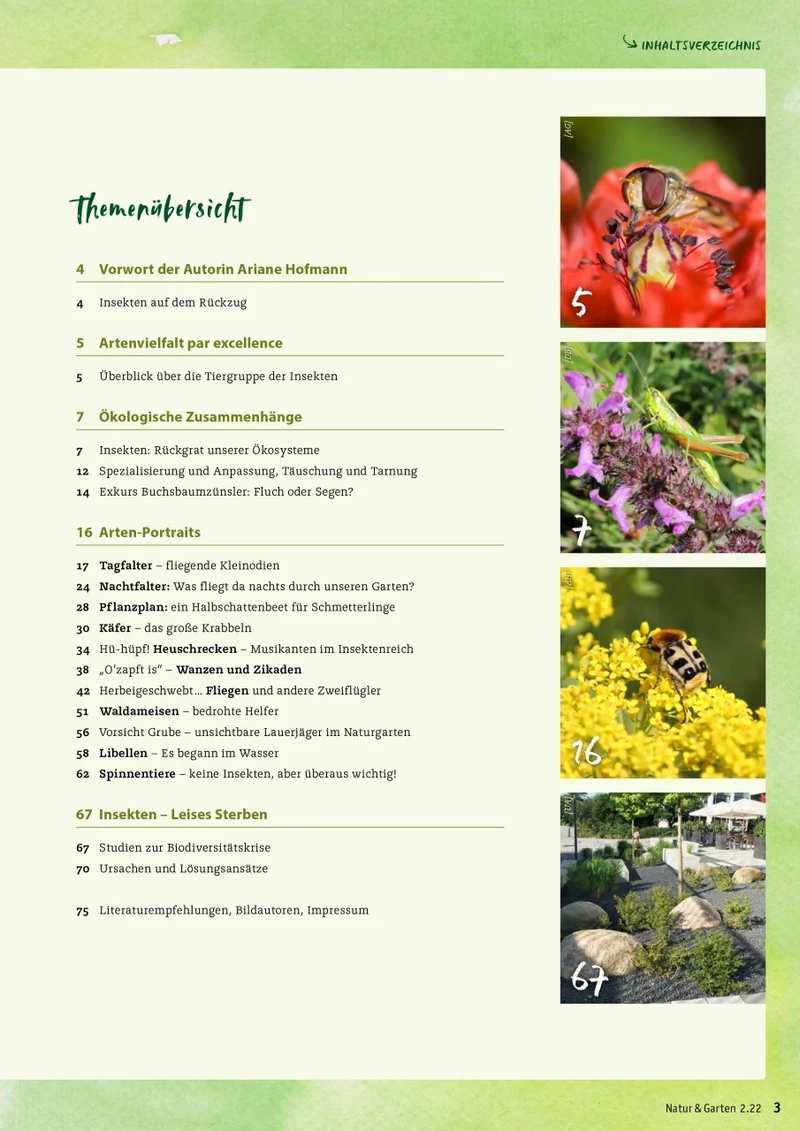 Schmetterlinge & Co. - Die Vielfalt der Insekten