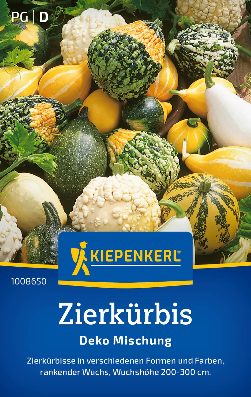 Zierkürbissamen Deko Mischung Saatgut