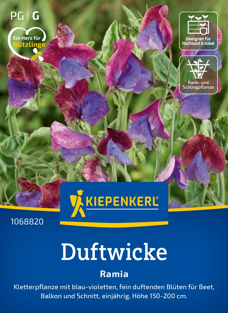 Duftwickensamen Ramia Saatgut