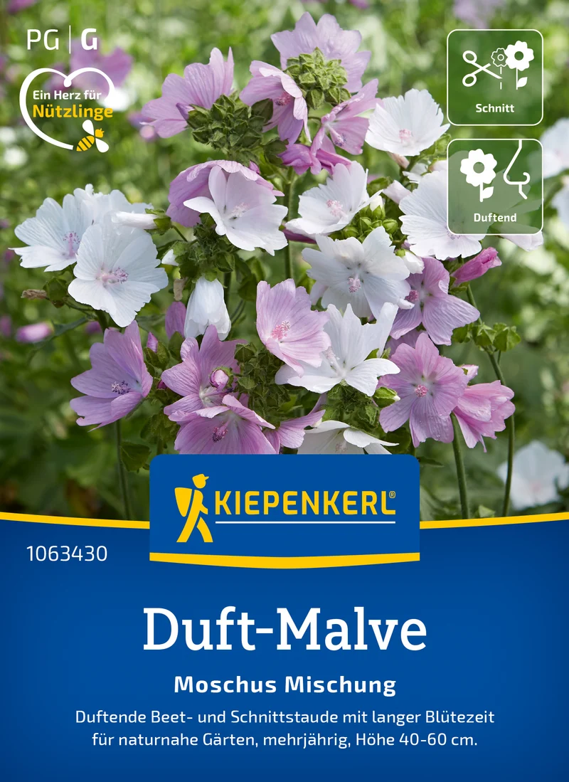 Duft Malvensamen Moschus Mischung Saatgut