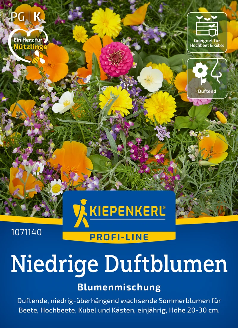 Blumensamen Mischung Niedrige Duftblumen Saatgut
