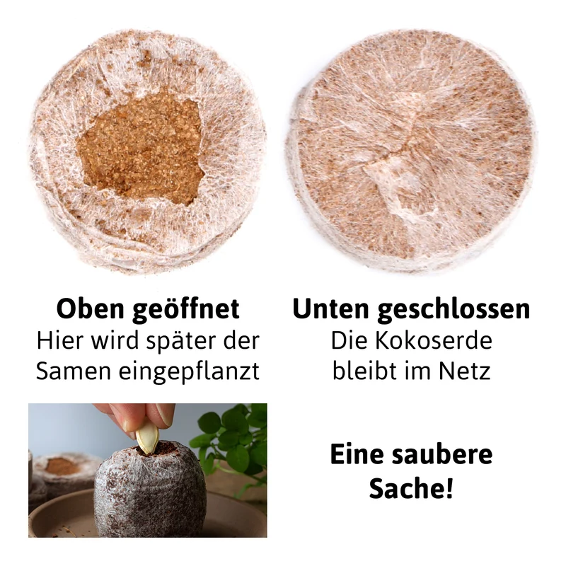 BIO Kokos Quelltöpfe 36 mm | BIO Kokos Quelltöpfe von FLORTUS