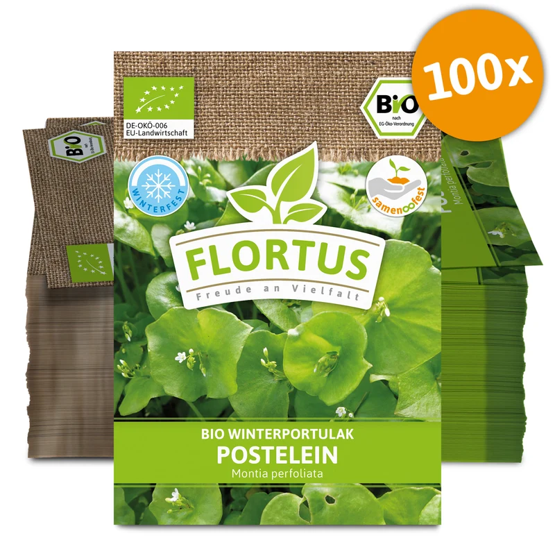 Winterportulak Postelein (100 Tütchen) | BIO Portulaksamen von FLORTUS
