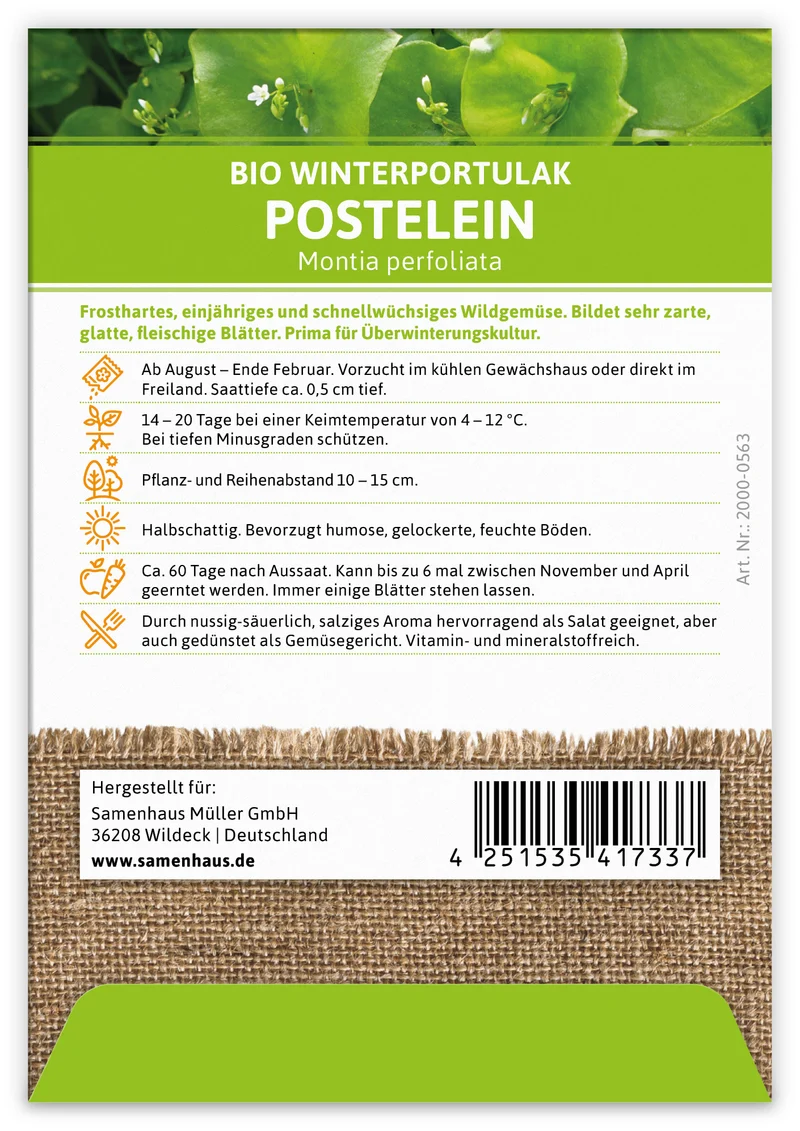 Winterportulak Postelein (100 Tütchen) | BIO Portulaksamen von FLORTUS