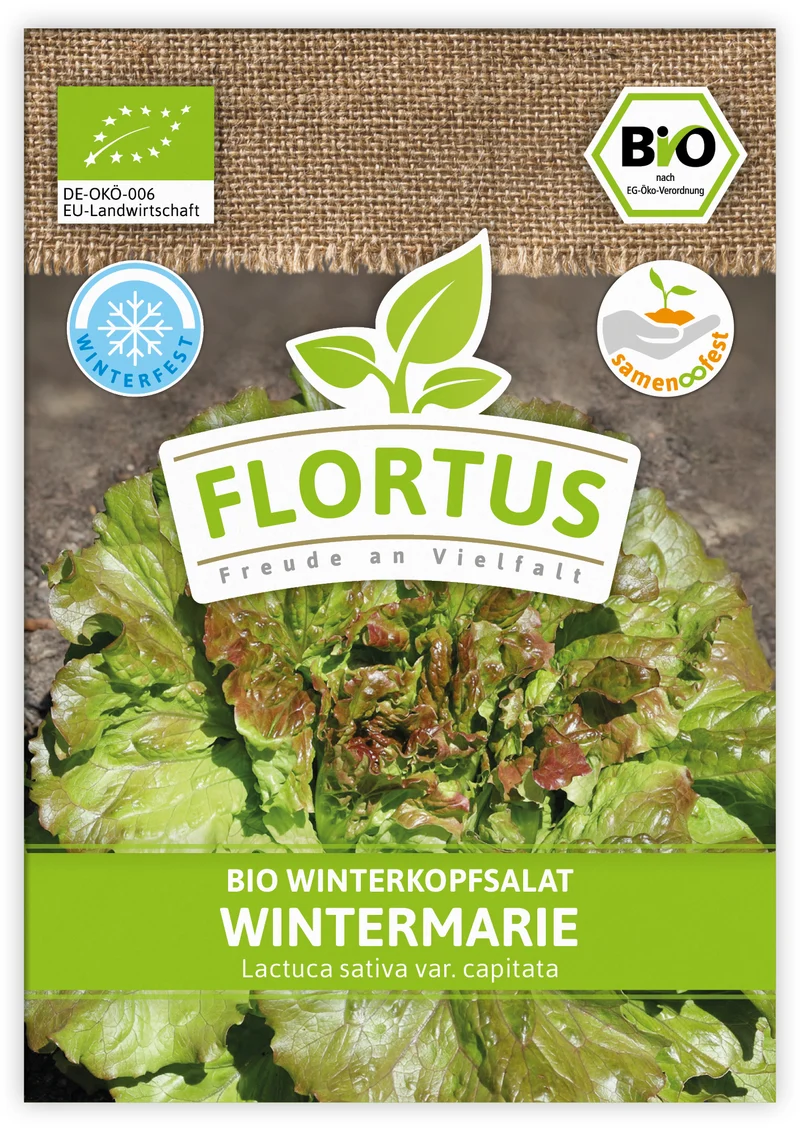 Winterkopfsalat Wintermarie (100 Tütchen) | BIO Kopfsalatsamen von FLORTUS