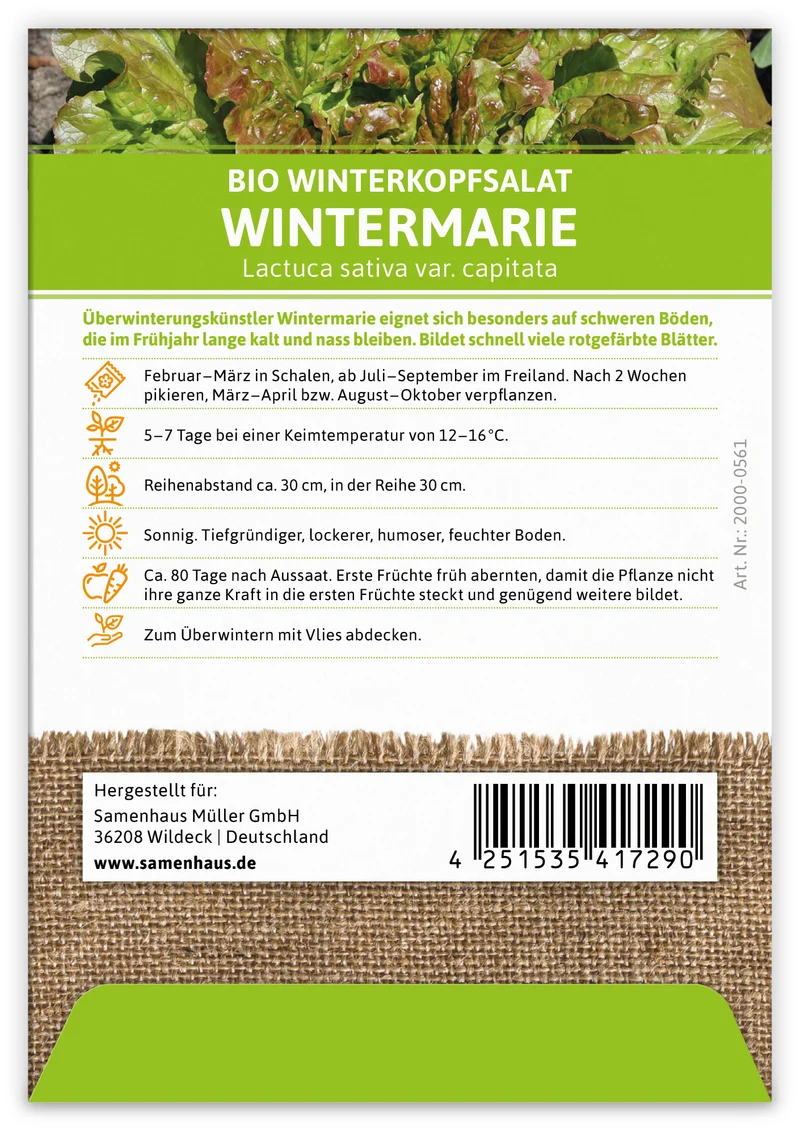 Winterkopfsalat Wintermarie | BIO Kopfsalatsamen von FLORTUS