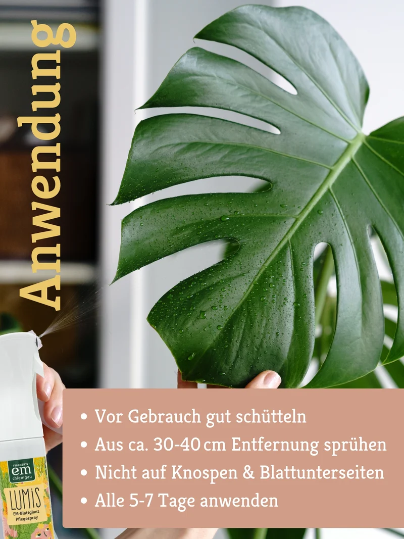 Lumis EM-Blattglanz Pflegespray