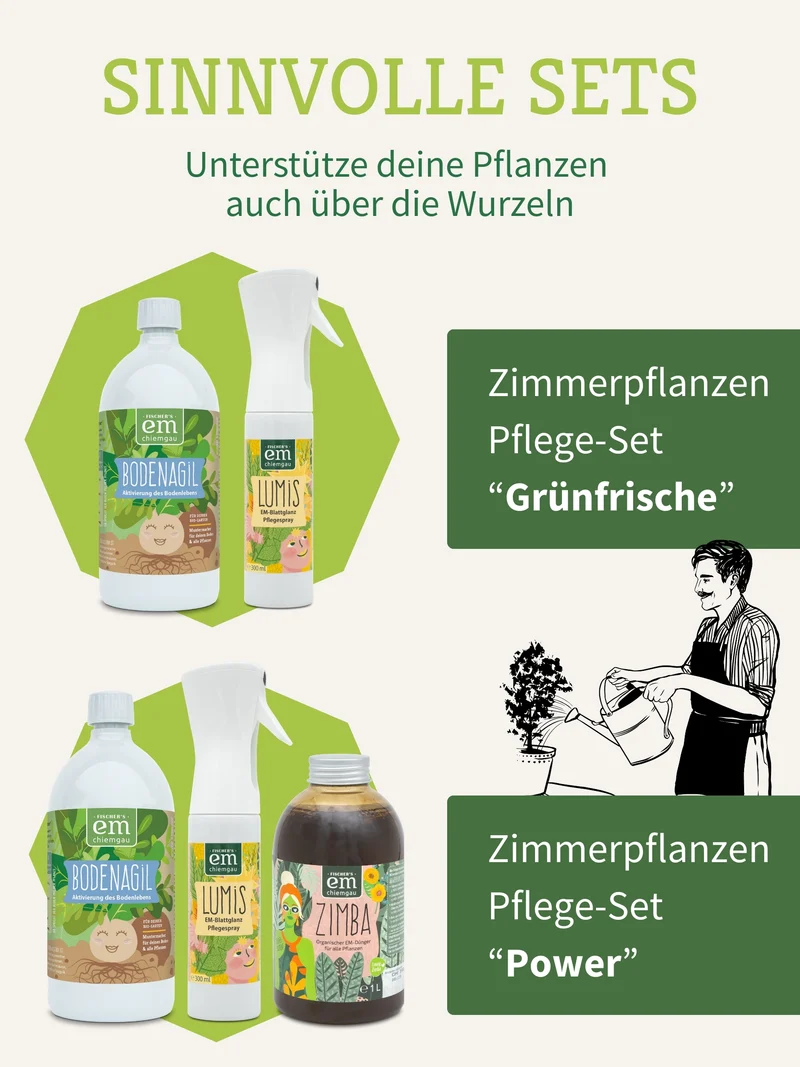 Lumis EM-Blattglanz Pflegespray