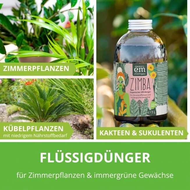 Zimba – Organischer EM-Flüssigdünger