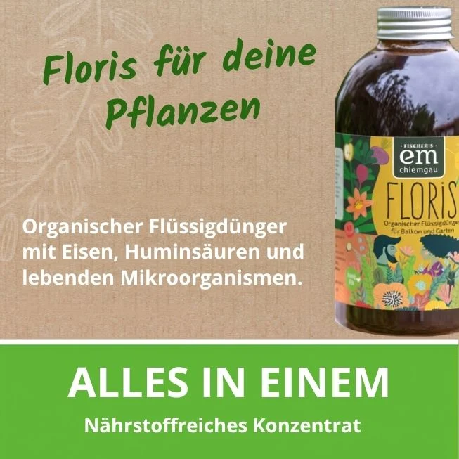 Floris - Flüssigdünger für Haus & Garten