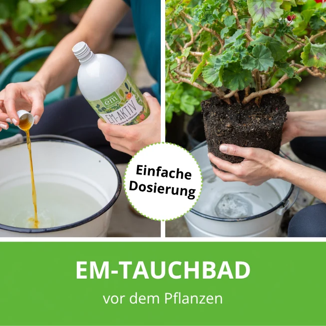 EM-aktiv - Boden- und Pflanzenvitalität