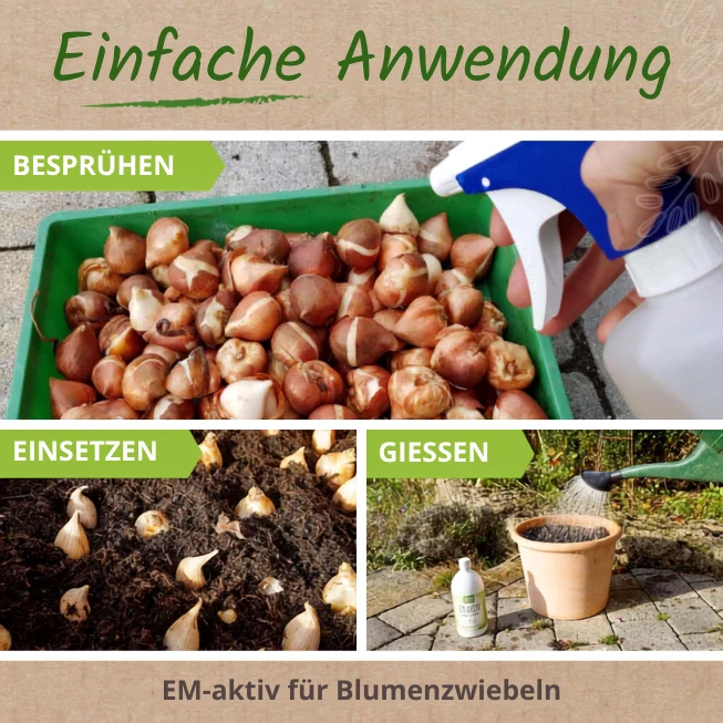 EM-aktiv - Boden- und Pflanzenvitalität
