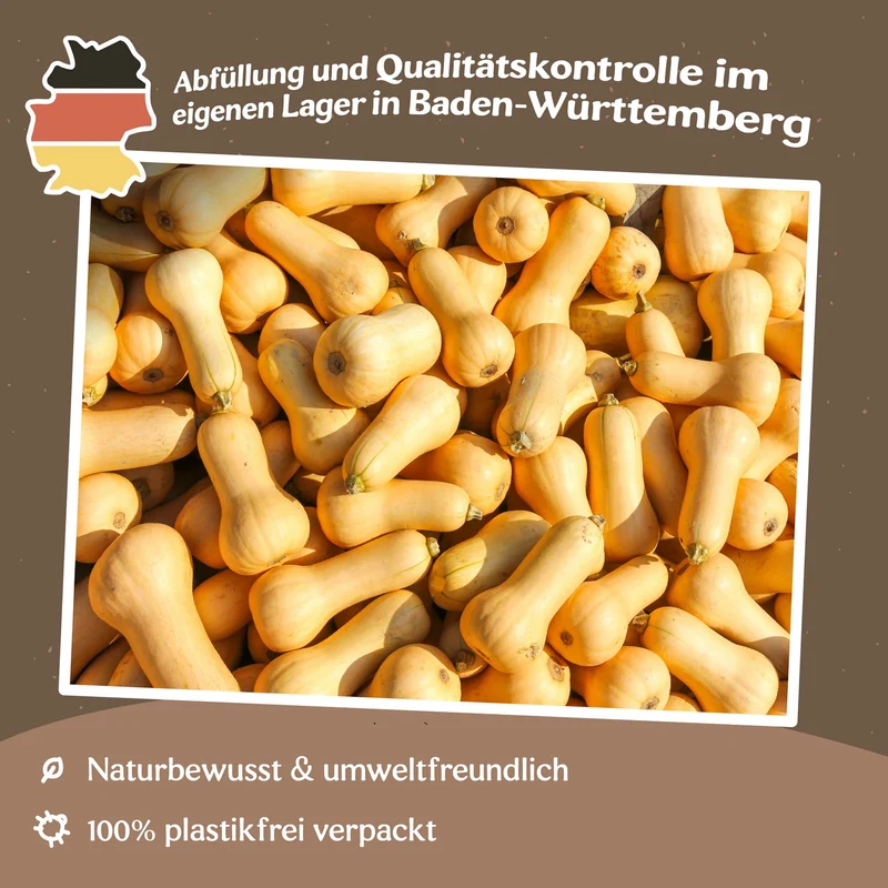 Kürbis Waltham Butternut Samen