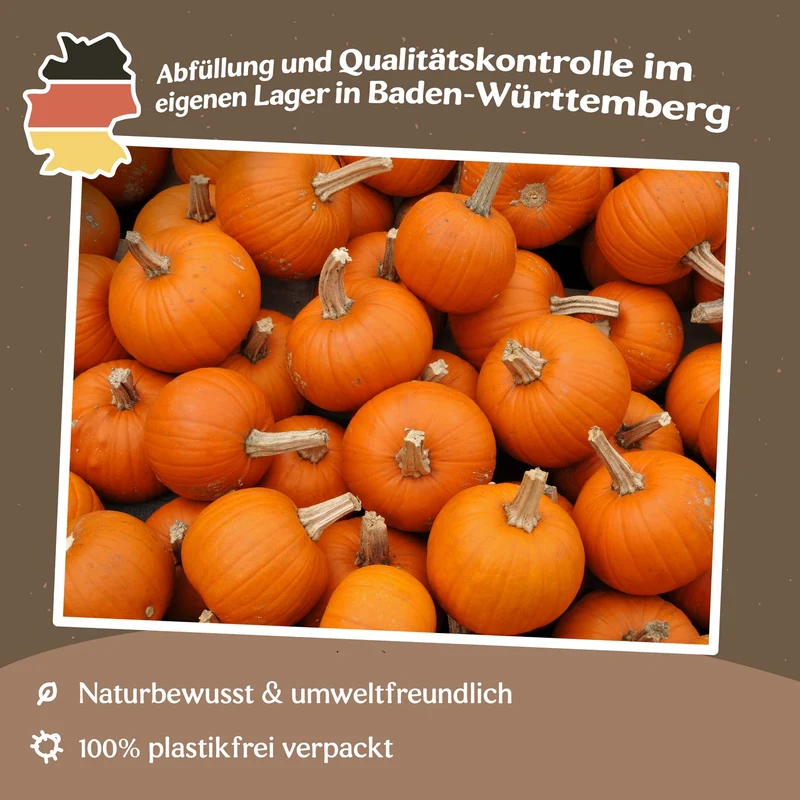 Halloweenkürbis Baby Bear Samen