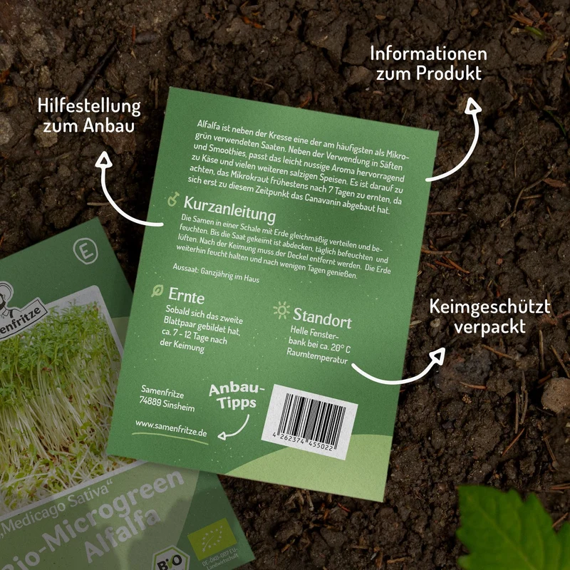 Microgreen Samen Bio-Alfalfa Bigvita