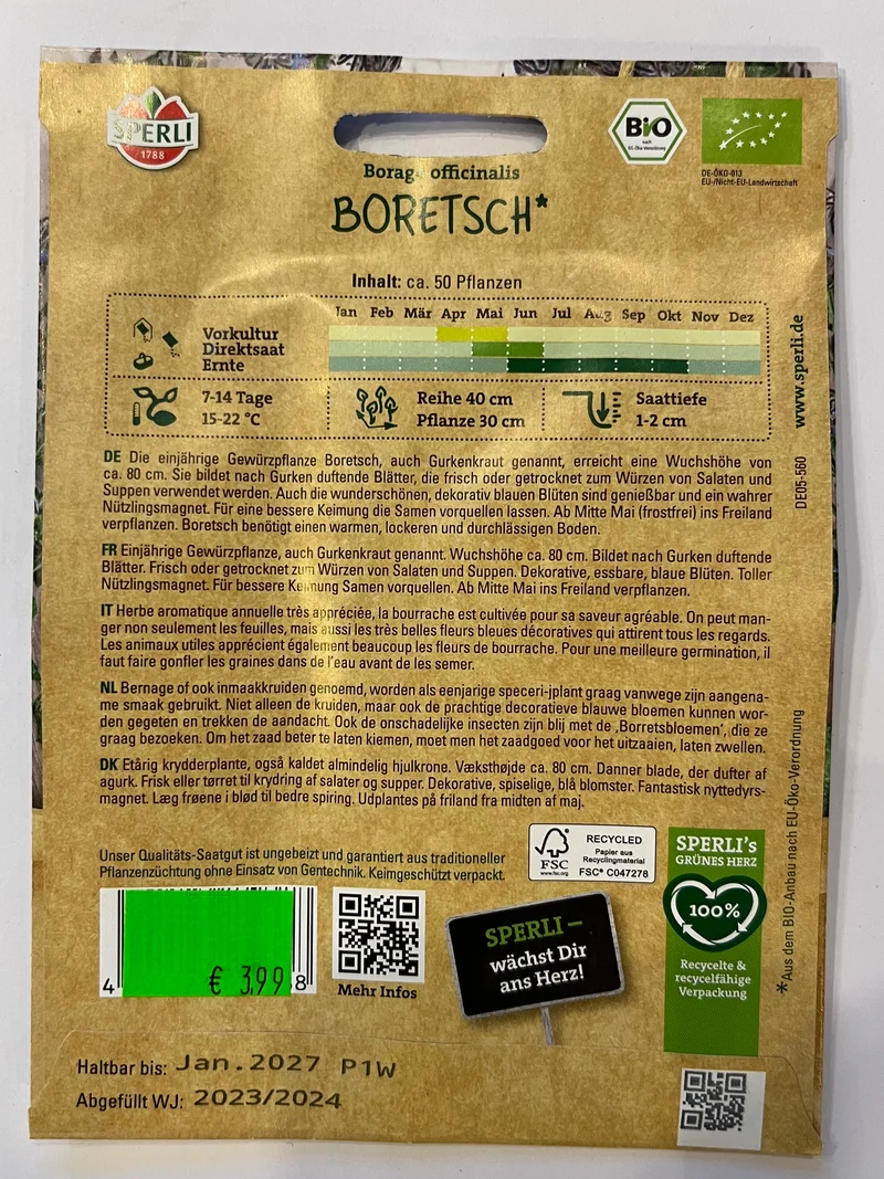 Borretsch