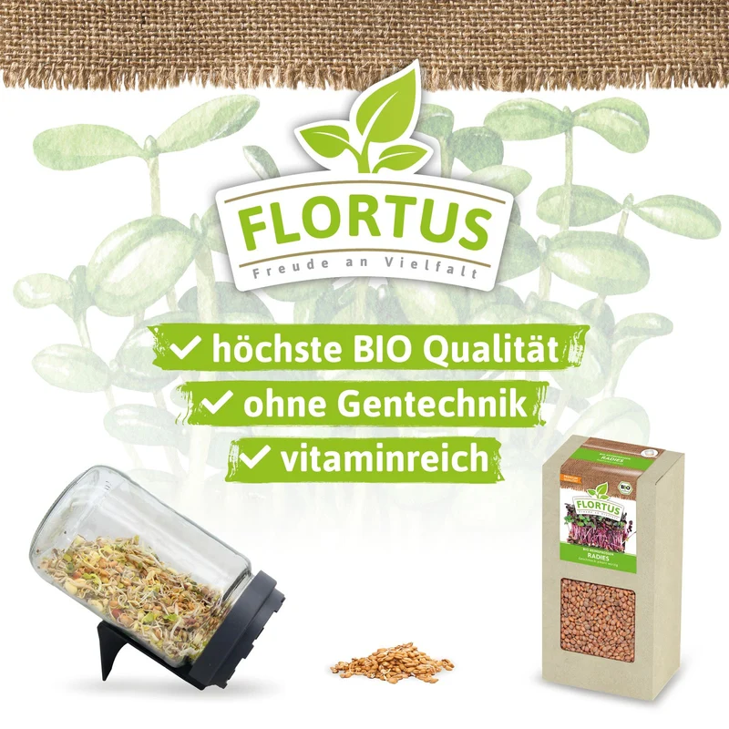 Keimsprossen Radies | BIO Keimsprossen von FLORTUS