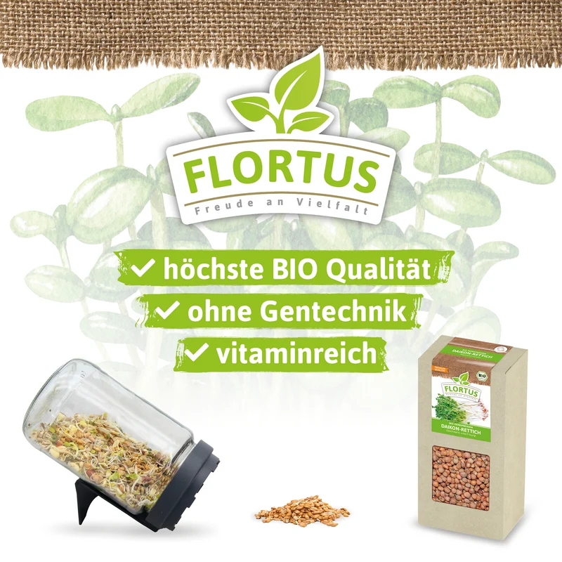 Keimsprossen Daikon-Rettich | BIO Keimsprossen von FLORTUS