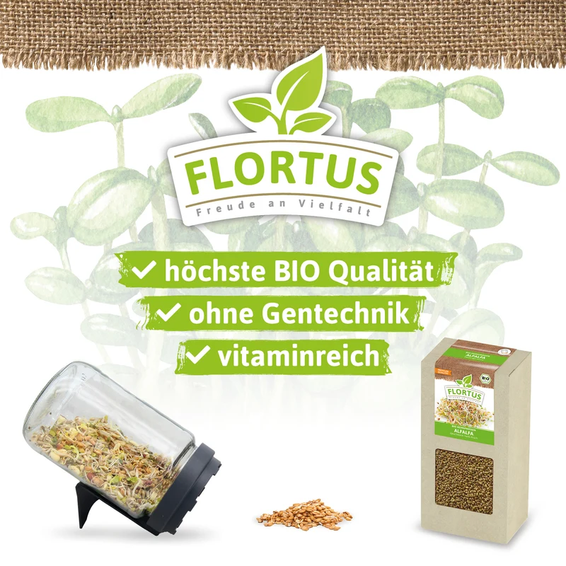 Keimsprossen Alfalfa | BIO Keimsprossen von FLORTUS