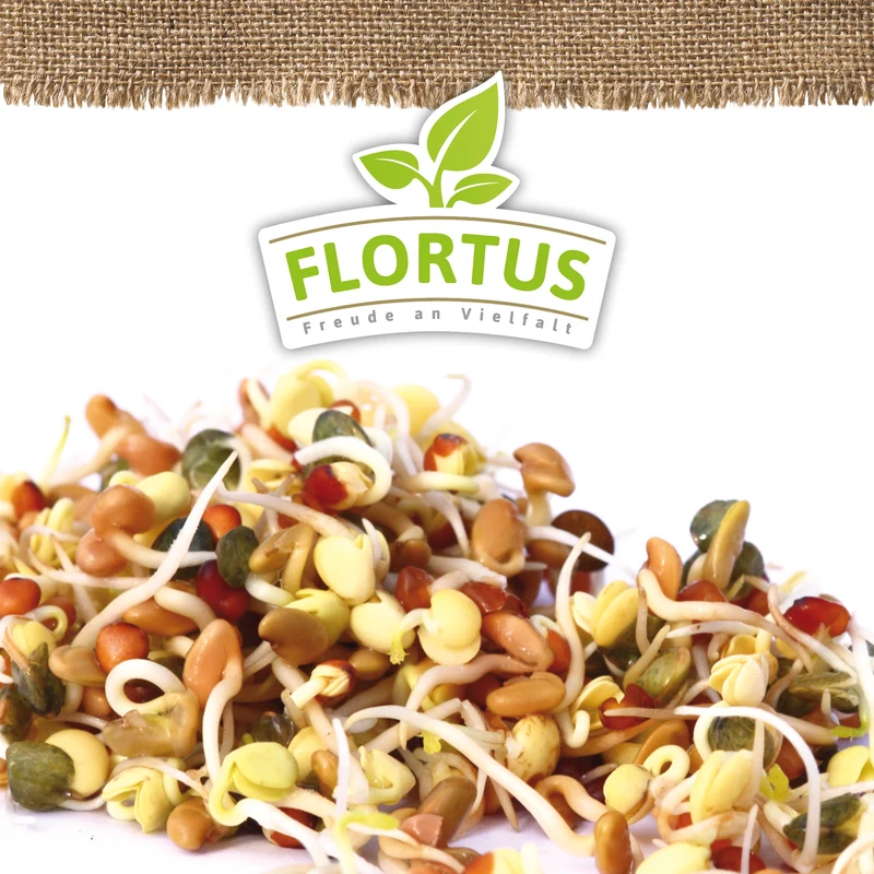 Keimsprossen Wellness-Mischung (Mungbohnen, Alfalfa, Linsen und Rettich) | BIO Keimsprossen von FLORTUS