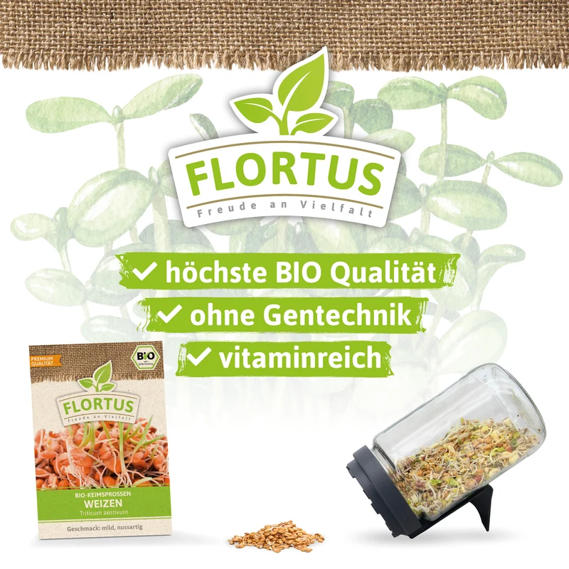 Keimsprossen Weizen | BIO Keimsprossen von FLORTUS