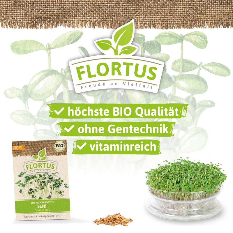 Keimsprossen Senf | BIO Keimsprossen von FLORTUS