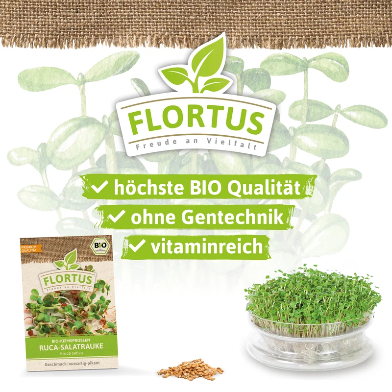 Keimsprossen Ruca-Salatrauke | BIO Keimsprossen von FLORTUS