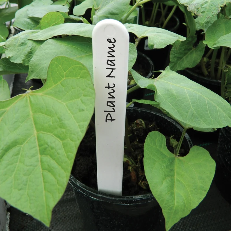 10 cm Pflanzetiketten – 25 Stück, robuste Pflanzenmarker