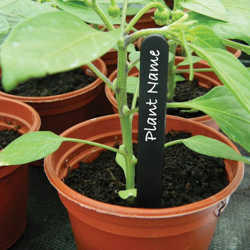 15 cm Pflanzetiketten – 50 Stück, robuste Pflanzenmarker
