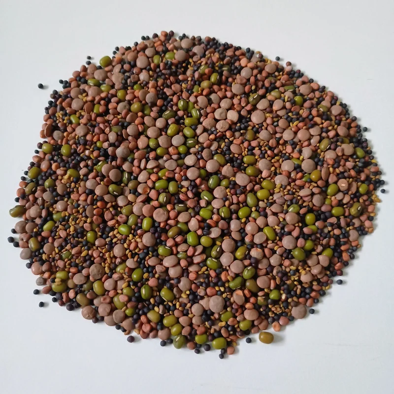 Organic Sprouting Seed: 5 Variety Salad Mix