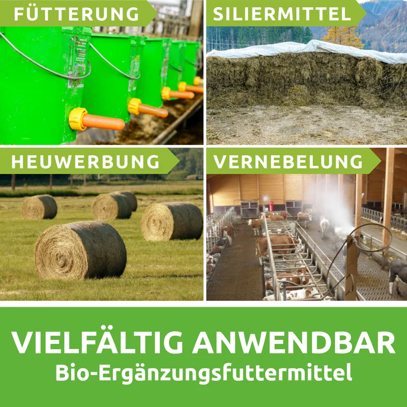 CFKE – Chiemgauer Fermentierter Kräuterextrakt, 5 L bib