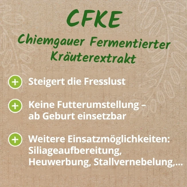 CFKE – Chiemgauer Fermentierter Kräuterextrakt, 5 L bib
