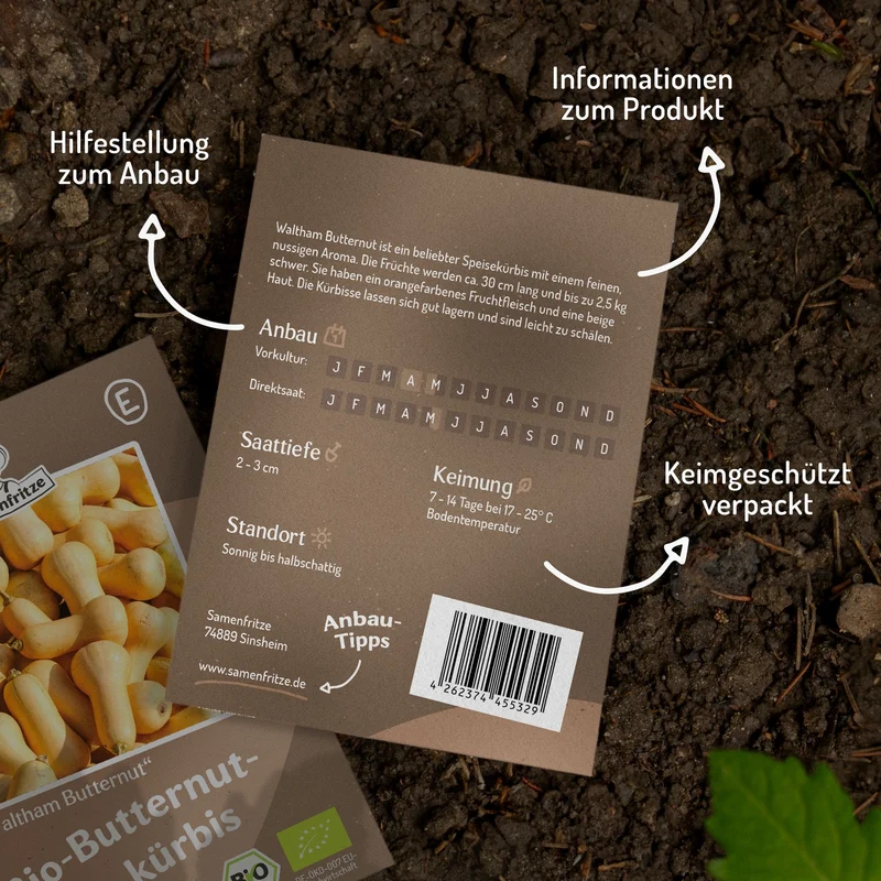 Bio-Butternutkürbis Waltham Butternut Samen