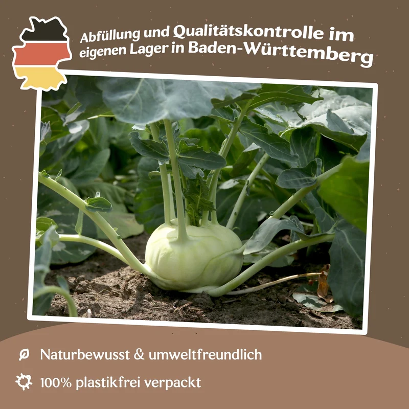 Kohlrabi Superschmelz Samen
