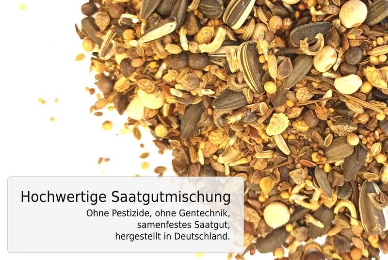 Bienenparadies Bienenwiese Samenmischung 50 Gramm
